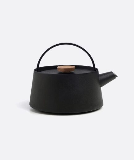 Iron kettle nambu tekki